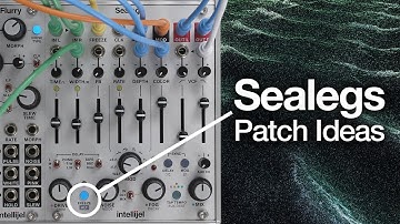 Intellijel Sealegs: Patch Ideas (No Talking)