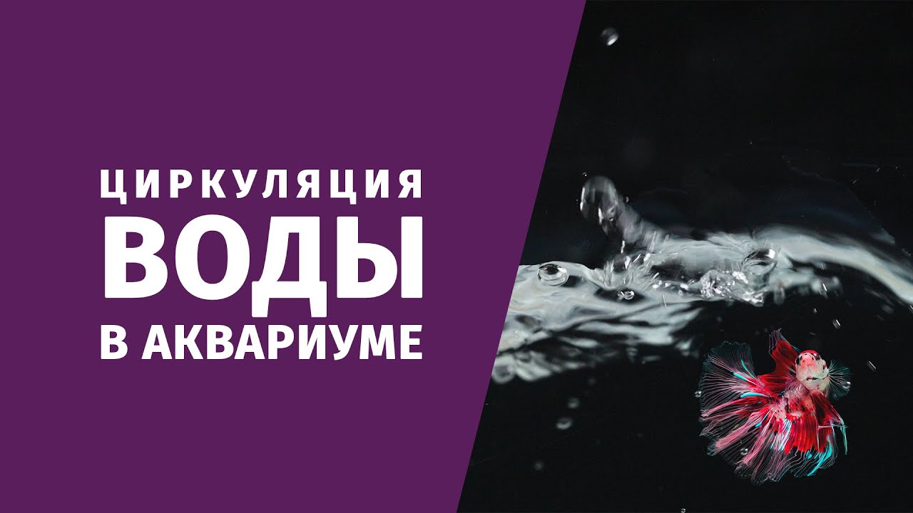 Течение и циркуляция воды в аквариуме