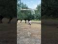 💩💩💩 #fpv #fpvdrone #fpvdronefreestyle