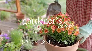 Do  you know what I’ve done when my husband is not at home? by 양평서정이네 garden life 96,652 views 2 weeks ago 25 minutes