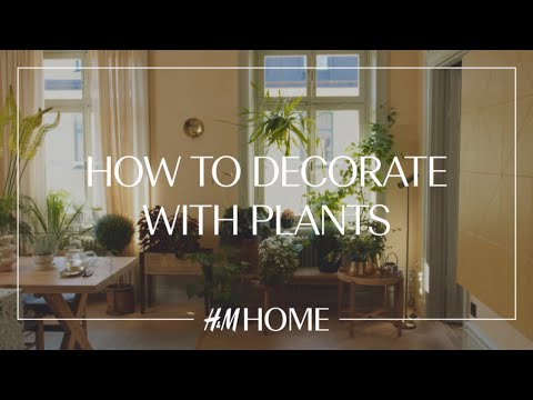 Video: A Fresh Take On Indoor Plants - Unusual Decor For The Interior