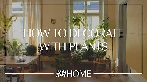 Decorate with plants: 4 indoor gardening ideas