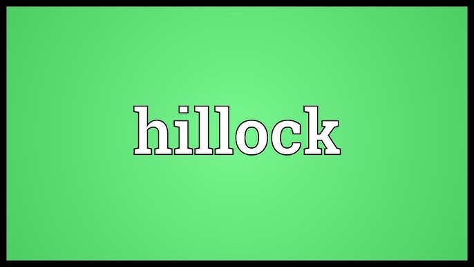 Definition of hillock