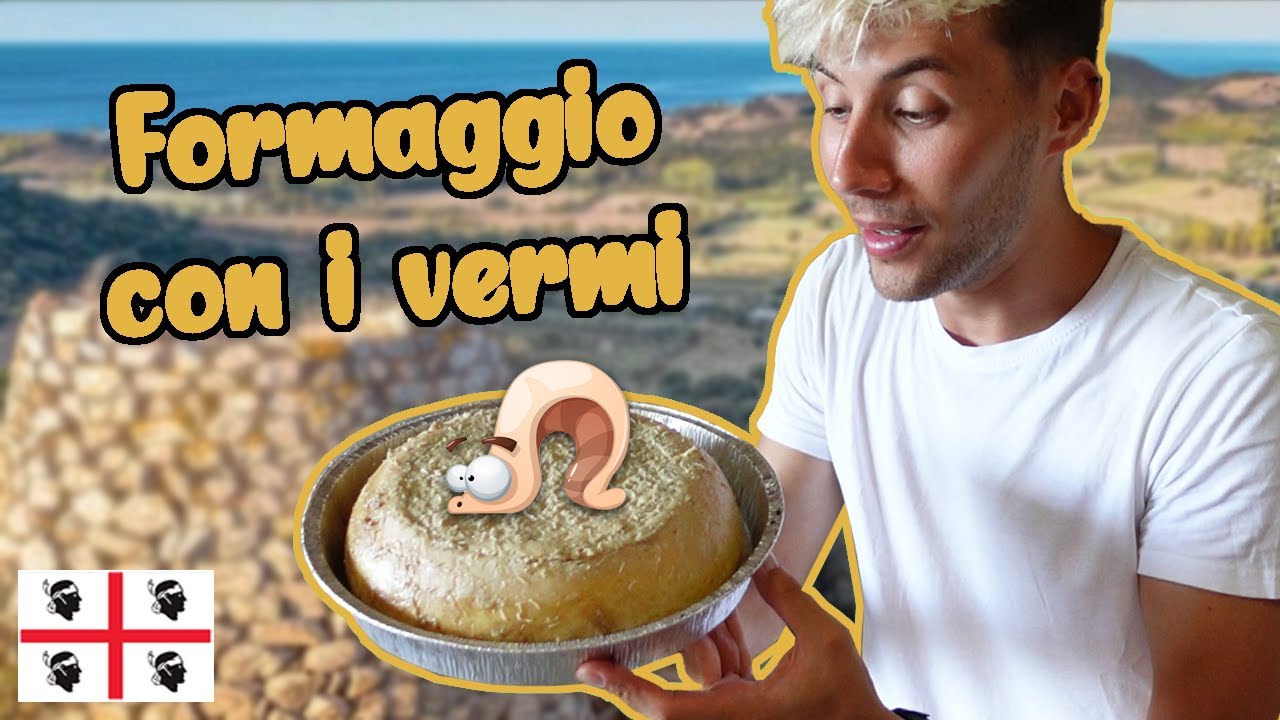 Che sapore ha il formaggio con i vermi sardo? Lo assaggio Casu marzu YouTube Che sapore ha il formaggio con i vermi sardo? Lo assaggio Casu marzu YouTube