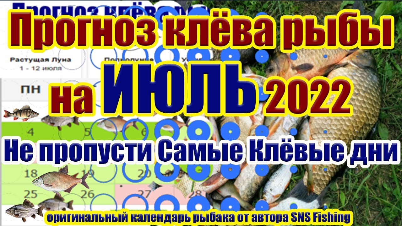 Прогноз клева в нижегородской области на неделю. Календарь рыболова. Рыболовный лунный календарь. Рыболовный календарь на июль. Календарь клева рыбы на июль.