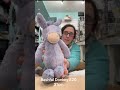 Jellycat unboxing February 2022