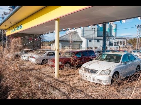 Video: Bantu Temukan Wanita Amerika Yang Hilang Setelah Tsunami Di Jepang - Matador Network