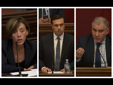 სულ ფეხებზე გკიდიათ ადამიანის უფლებები! -წითლიძის მწვავე კითხვები ომბუდსმენს და სარჯველაძის კრიტიკა