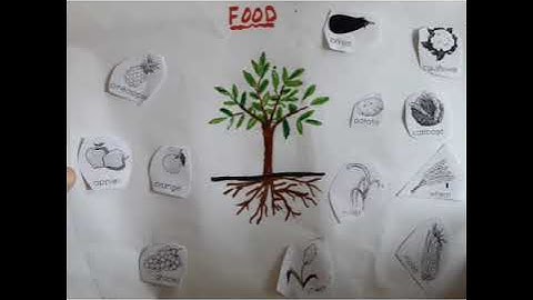 1st std Subject-EVS,  Topic 2.1 Activity(Food)17/8/2021
