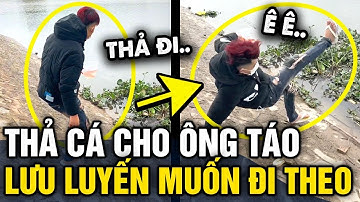 Đi THẢ CÁ tiễn ông Công ông Táo, thanh niên LƯU LUYẾN muốn đi theo | Tin 3 Phút