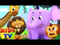 ABC Song, Wheels On The Bus, Baby Shark + Many More Nursery Rhymes & Kids Songs