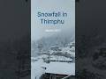 #Snowfall in #Thimphu, 2017. #bhutan #winter #peaceful #happiness #slomo #whiteflakes