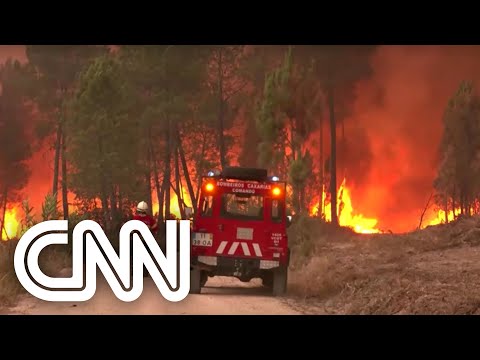 Vídeo: Quais países têm incêndios florestais?