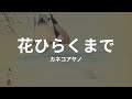 花ひらくまで: カネコアヤノ hana hiraku made: ayano kaneko (lyrics english translation)