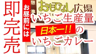 いちご生産量日本一の道の駅の人気メニュー！いちごカレーを食べてみた結果・・・道の駅にのみや おもてなし広場【真岡市久下田】