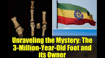 Unraveling the Mystery: The 3-Million-Year-Old Foot and its Owner