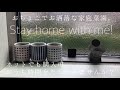 【ミニ家庭菜園】Stay home with me!【おうち時間】