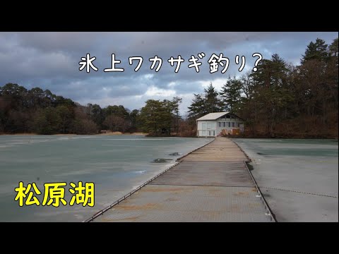 【ワカサギ釣り】2024年1月22日 桟橋釣り 松原湖