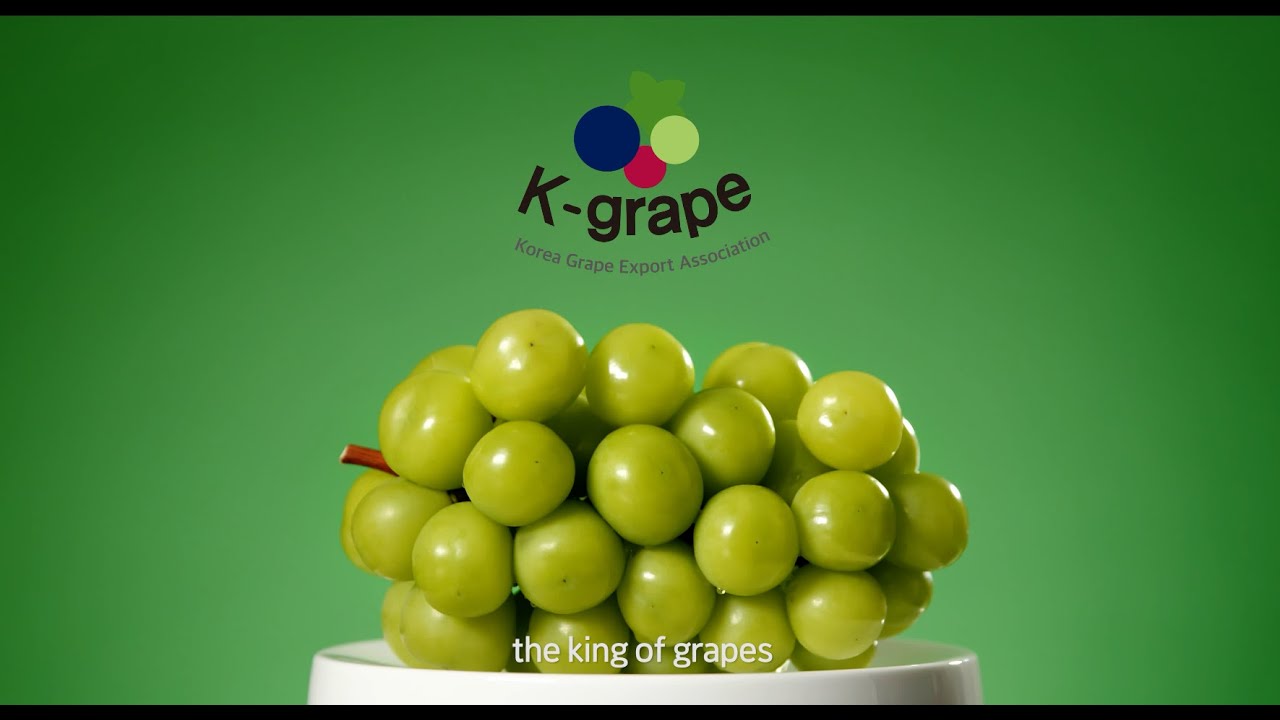 The king of grapes , Korea's Shine Muscat