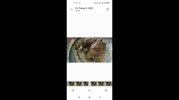 Quá trình lột xác của cua