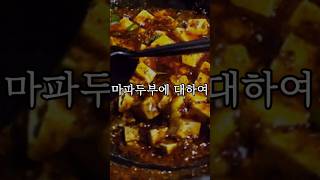 마파두부에 대하여 #shorts #food #음식 #리뷰 #마파두부