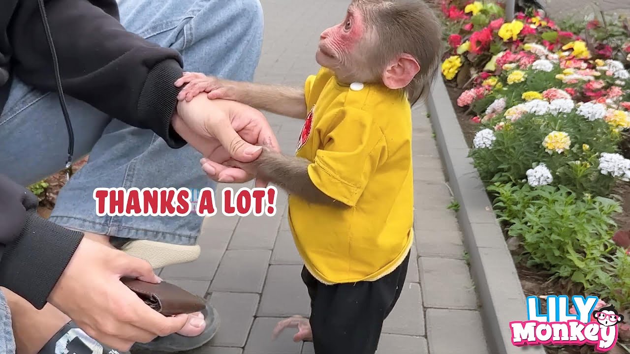 Wow! Lily helped so many strangers without hesitation | Lily's story