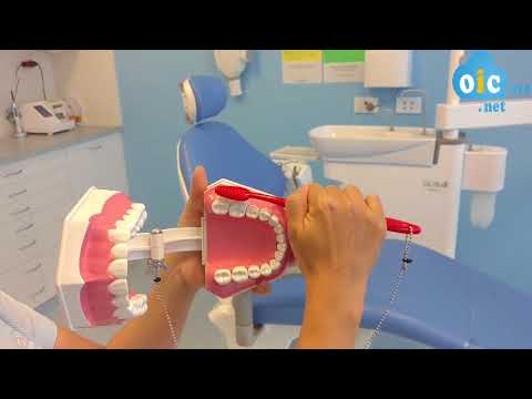 Australian Dentist Dr. Lisa - The magical 45 degree angle when brushing your teeth