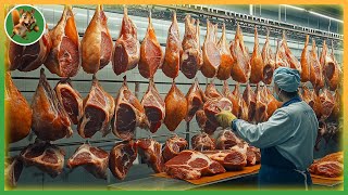 How MILLIONS of Hams are Produced