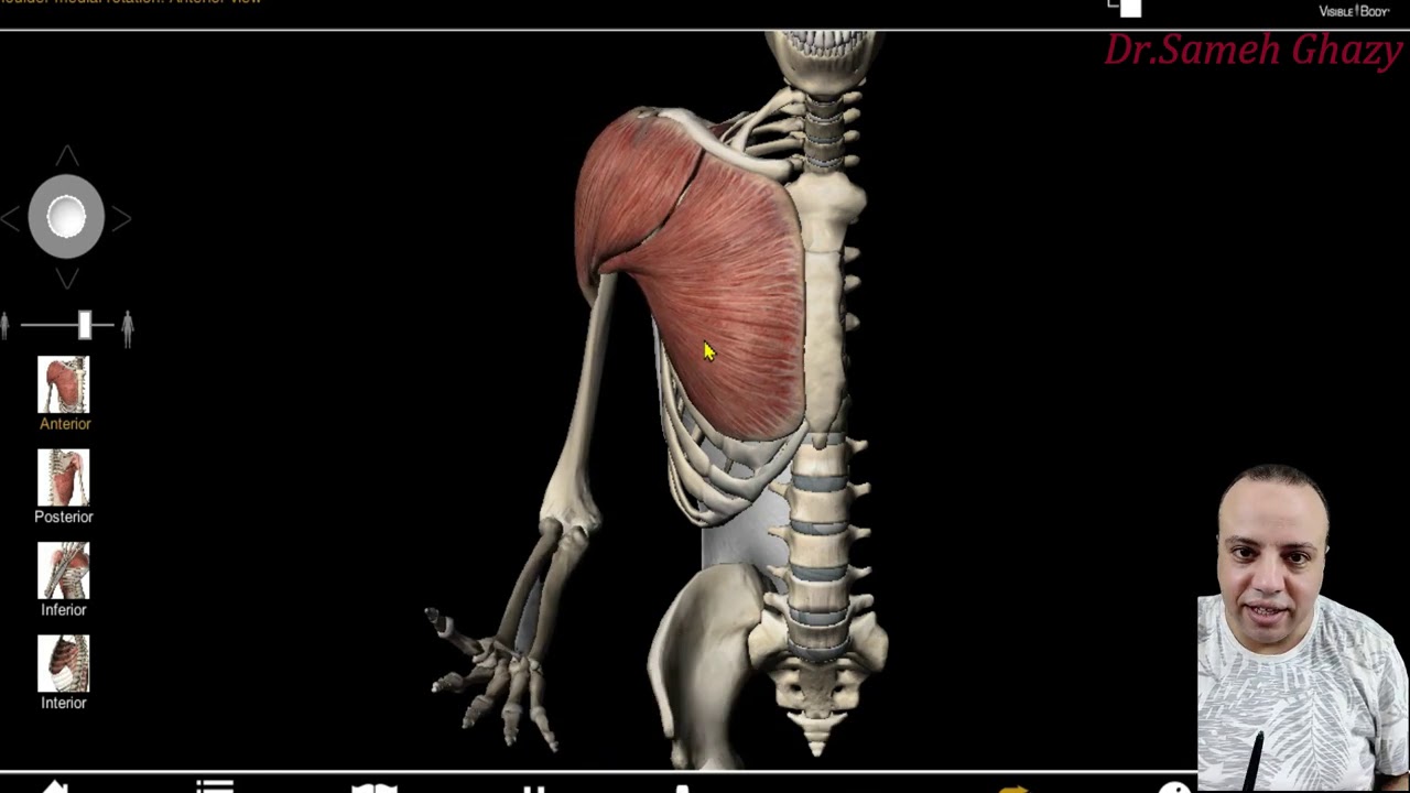 دورة تأهيلية فى علم التشريح : الفيديو الرابع . د. سامح غازى