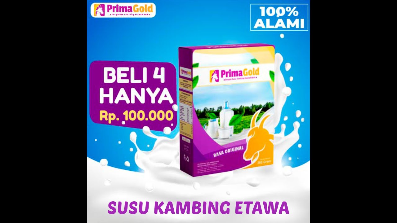 Primagold Primagold Susu Etawa Bubuk Rasa Original - YouTube