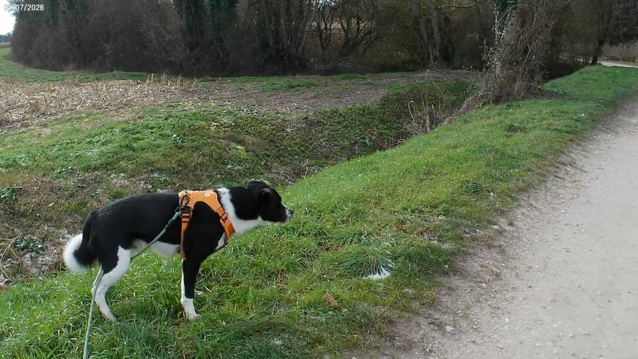 Séance 4   Volt & Christophe 7 sur 11