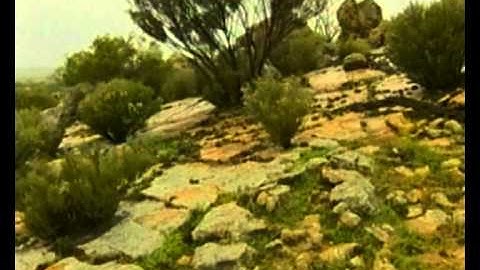 2. An Introduction to Conservation Planning