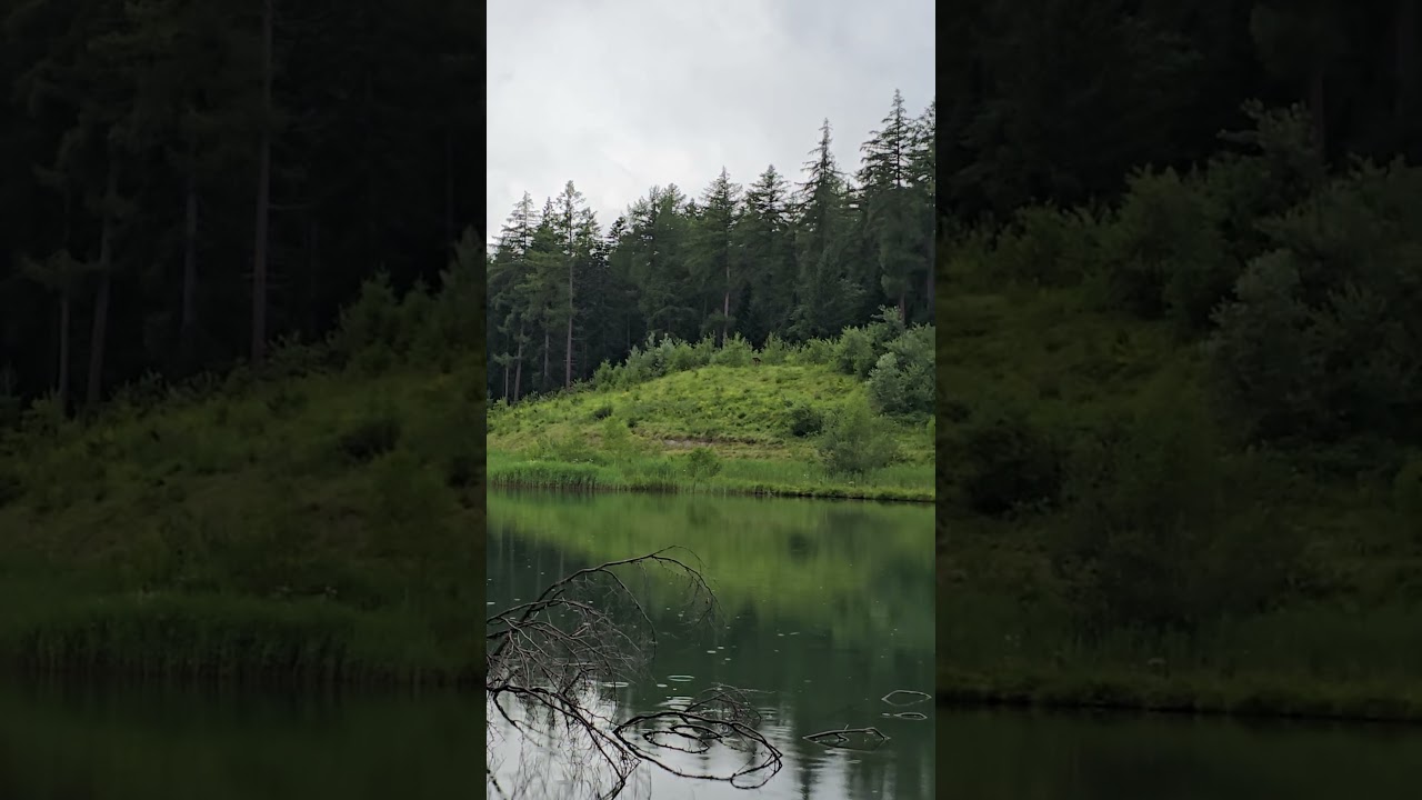 Switzerland🇨🇭Швейцария 