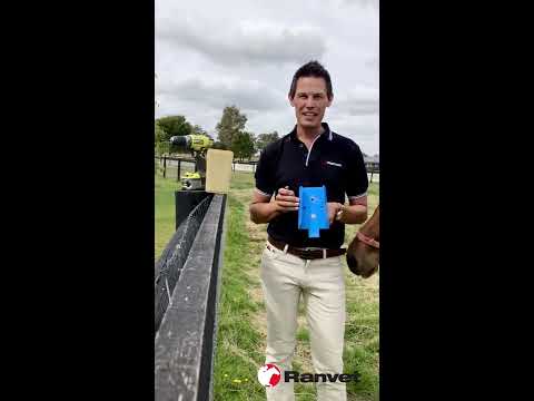 Como instalar um Salt Lick em sua cavalos paddock