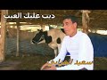 Said Lamzabi Music Marocaine Top Chaabi Nayda سعيد المزابي ديت عليك العيب 