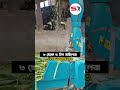 ঘন্টায় ৩ থেকে ৫ টন সাইলেজ তৈরির মেশিন । 3 - 5 Ton Silage Machine
