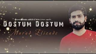 Murad Əlizadə canavar 🐺 dostum əla mahnı 👍🏻 2022 Resimi