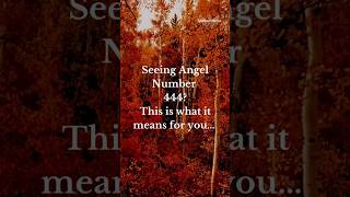444 angel number meaning #444 #angelnumbers #angel #angels #spirituality #spiritual #awakening #god