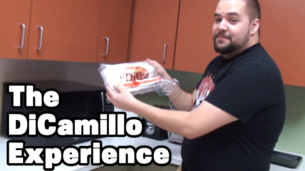 The DiCamillo Experience (LOST VIDEO) - YouTube
