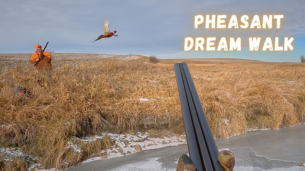 БЕЗУМНАЯ охота на фазанов! Птицы повсюду! (Ограничения)