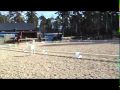 poppie_dressyr.flv