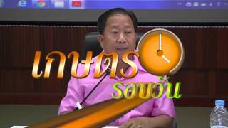 รายการคนไทยหัวใจเกษตร วันที่ 11 มกราคม 2559 B1