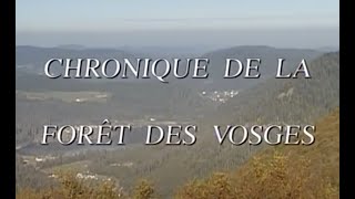 CHRONIQUE DE LA FORÊT DES VOSGES (François Chilowicz — 1995)
