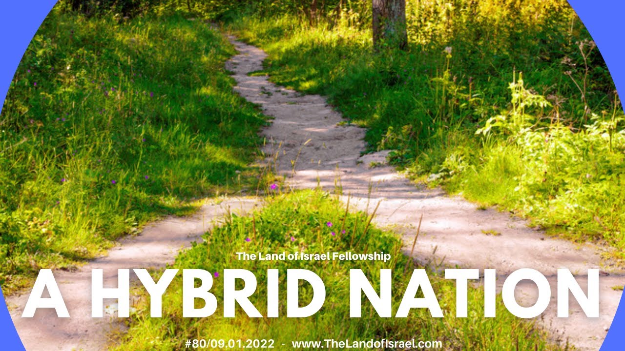 A Hybrid Nation - Ari Abramowitz: The Land of Israel Fellowship