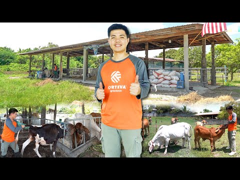 วีดีโอ: Farmperspektiva LLC, Samara: บทวิจารณ์ของพนักงาน