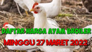 Harga Ayam Broiler Hari Ini Selasa 02 Agustus 2022. 