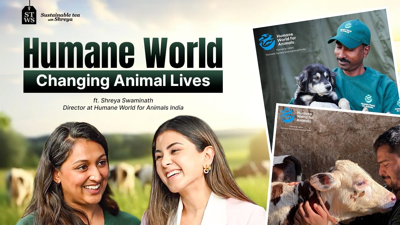 Humane Word Humane World’s Mission To Protect And Care For Animals | Ft. Shreya ...