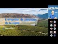 Webinaire - L'irrigation de précision dédiée à la vigne