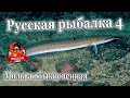 Русская рыбалка 4 Мольва обыкновенная трофей