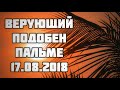 Верующий подобен пальме 17.08.2018 || Абу Яхья Крымский